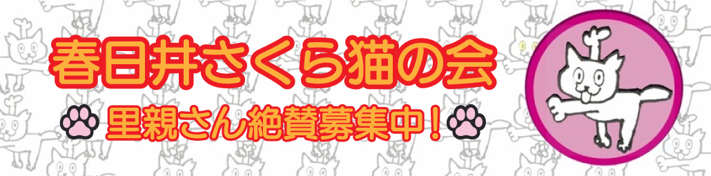 春日井さくら猫の会